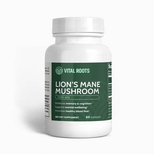Lion’s Mane: Mental Clarity Protocol